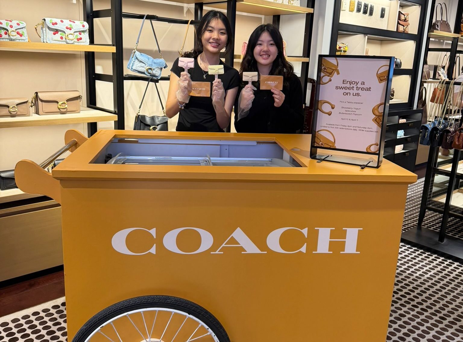 custom branded ice cream carts